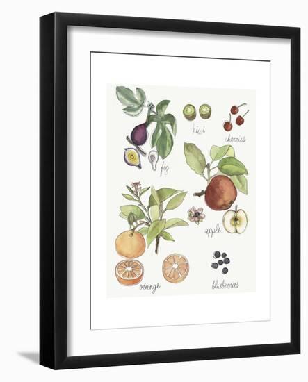 Fruit Medley I-Naomi McCavitt-Framed Art Print