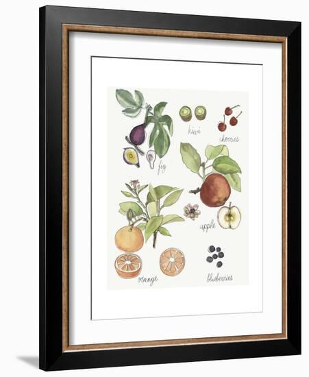 Fruit Medley I-Naomi McCavitt-Framed Art Print