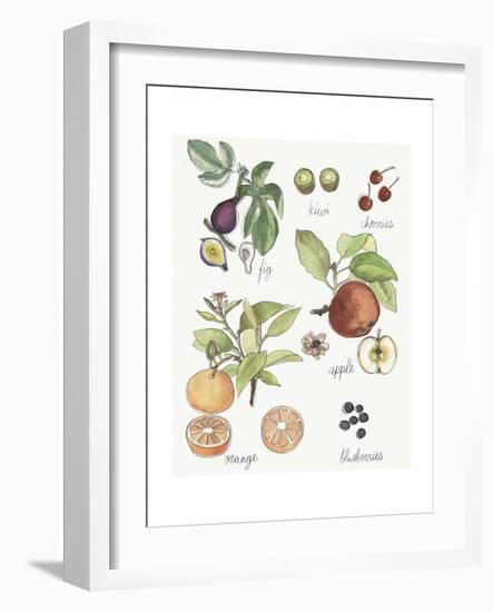 Fruit Medley I-Naomi McCavitt-Framed Art Print