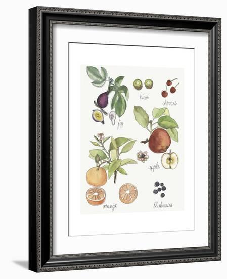 Fruit Medley I-Naomi McCavitt-Framed Art Print