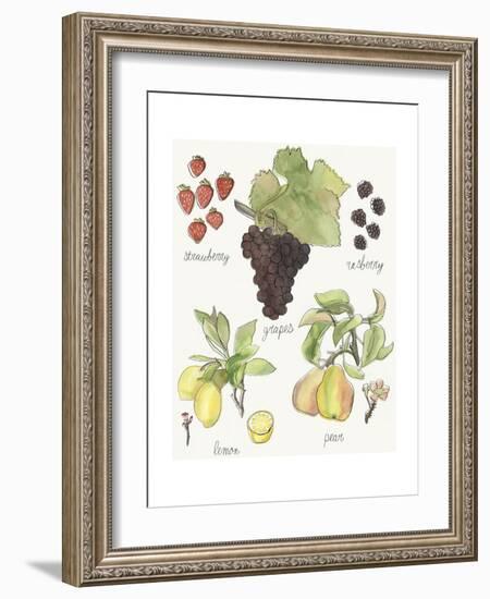 Fruit Medley II-Naomi McCavitt-Framed Art Print