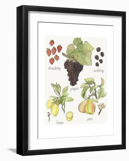 Fruit Medley II-Naomi McCavitt-Framed Art Print