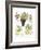 Fruit Medley II-Naomi McCavitt-Framed Art Print