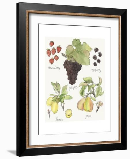 Fruit Medley II-Naomi McCavitt-Framed Art Print