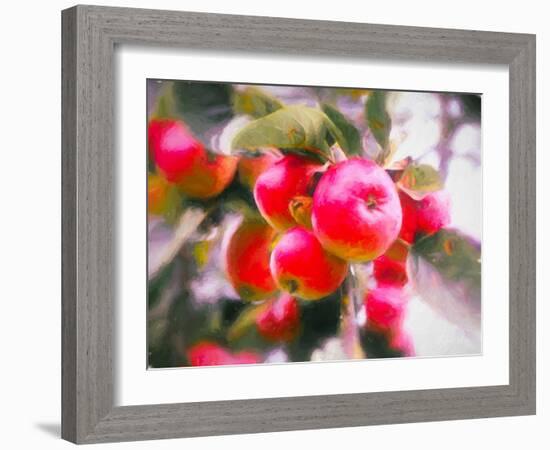 Fruit of Life, 2018-Helen White-Framed Giclee Print