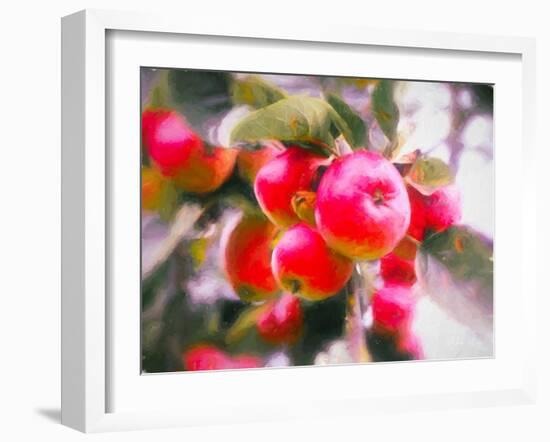 Fruit of Life, 2018-Helen White-Framed Giclee Print