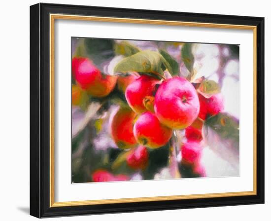 Fruit of Life, 2018-Helen White-Framed Giclee Print