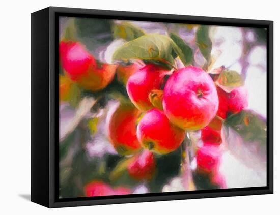 Fruit of Life, 2018,-Helen White-Framed Premier Image Canvas