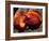 Fruit of Wild Nutmeg, Barro Colorado Island, Panama-Christian Ziegler-Framed Photographic Print