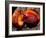 Fruit of Wild Nutmeg, Barro Colorado Island, Panama-Christian Ziegler-Framed Photographic Print