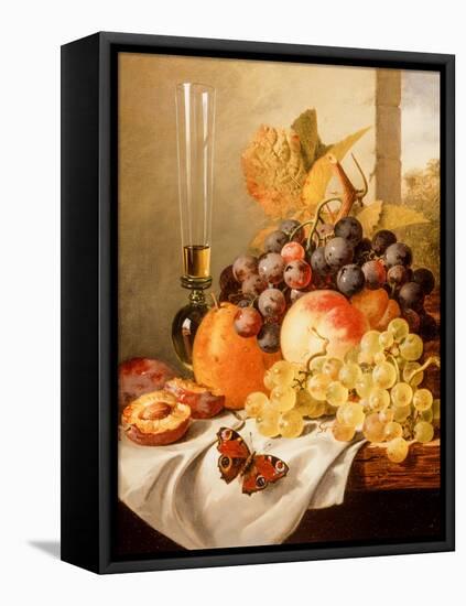 Fruit on a Draped Ledge with a Red Admiral-Edward Ladell-Framed Premier Image Canvas