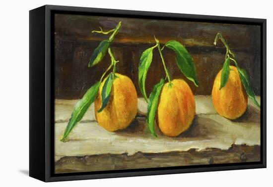 fruit on a shelf-Cristiana Angelini-Framed Premier Image Canvas