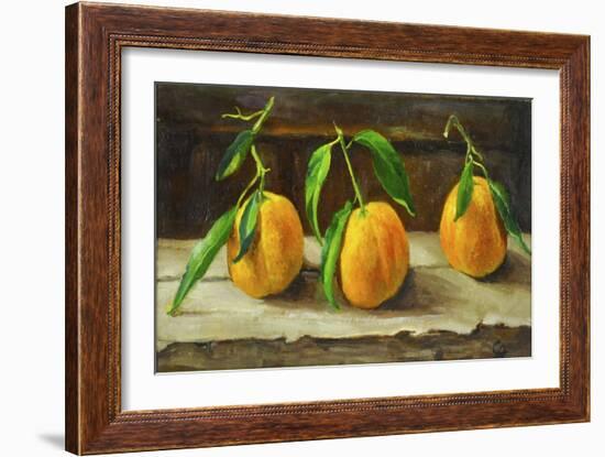 fruit on a shelf-Cristiana Angelini-Framed Giclee Print