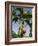 Fruit on Palm Tree, Nicoya Pennisula, Costa Rica, Central America-R H Productions-Framed Photographic Print