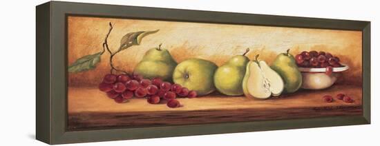 Fruit Panel I-unknown Sibley-Framed Stretched Canvas