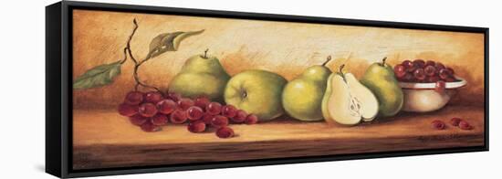 Fruit Panel I-unknown Sibley-Framed Stretched Canvas