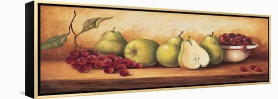 Fruit Panel I-unknown Sibley-Framed Stretched Canvas