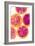 Fruit Punch I-Nola James-Framed Art Print