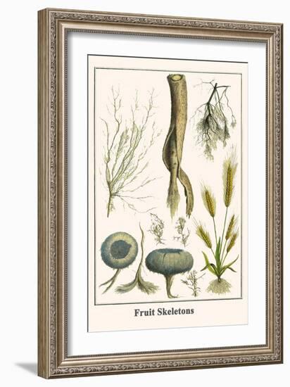 Fruit Skeletons-Albertus Seba-Framed Art Print