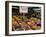 Fruit Stall at Viktualienmarkt, Munich, Bavaria, Germany-Yadid Levy-Framed Photographic Print