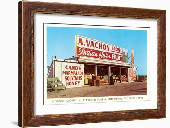 Fruit Stand, Ft. Pierce, Florida-null-Framed Premium Giclee Print