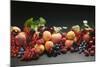 Fruit Still Life with Stone Fruit, Berries and Leaves-Foodcollection-Mounted Photographic Print