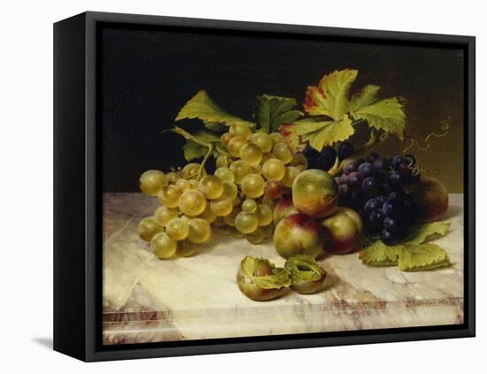 Fruit Still Life, with White and Blue Grapes on a Marble Table, 1834-Johann Wilhelm Preyer-Framed Premier Image Canvas