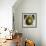 Fruit Study II-Dennis Carney-Framed Giclee Print displayed on a wall