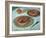 Fruit Tarts, 1882-Claude Monet-Framed Giclee Print