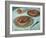 Fruit Tarts, 1882-Claude Monet-Framed Giclee Print