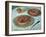 Fruit Tarts, 1882-Claude Monet-Framed Giclee Print