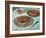 Fruit Tarts, 1882-Claude Monet-Framed Giclee Print