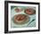 Fruit Tarts, 1882-Claude Monet-Framed Giclee Print