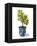 Fruit Tree I-Grace Popp-Framed Stretched Canvas