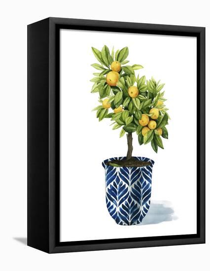 Fruit Tree I-Grace Popp-Framed Stretched Canvas