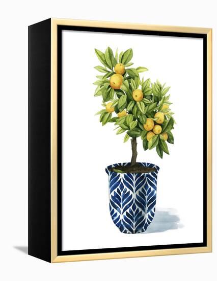 Fruit Tree I-Grace Popp-Framed Stretched Canvas