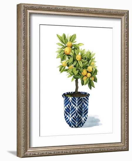 Fruit Tree I-Grace Popp-Framed Art Print