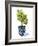 Fruit Tree I-Grace Popp-Framed Art Print