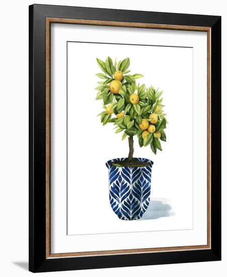 Fruit Tree I-Grace Popp-Framed Art Print