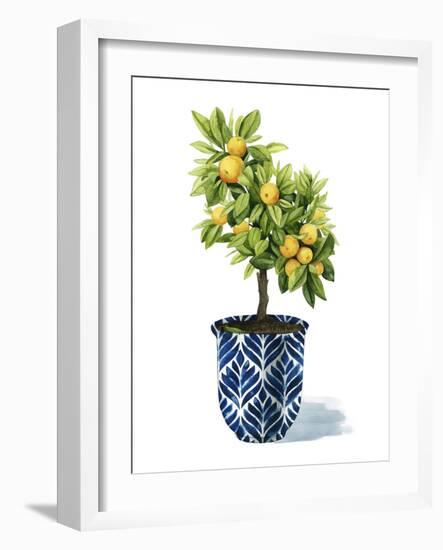 Fruit Tree I-Grace Popp-Framed Art Print