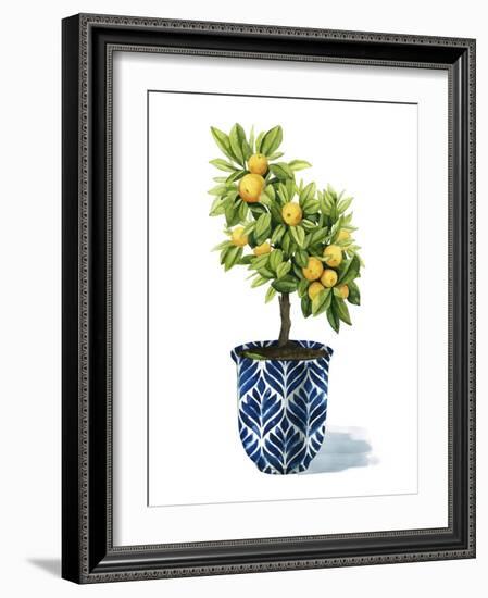 Fruit Tree I-Grace Popp-Framed Art Print