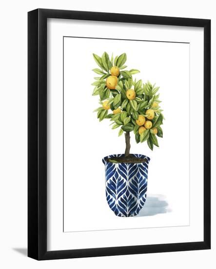 Fruit Tree I-Grace Popp-Framed Art Print