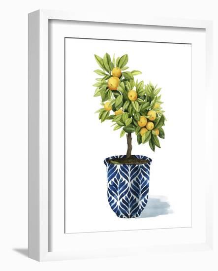 Fruit Tree I-Grace Popp-Framed Art Print