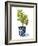 Fruit Tree I-Grace Popp-Framed Art Print