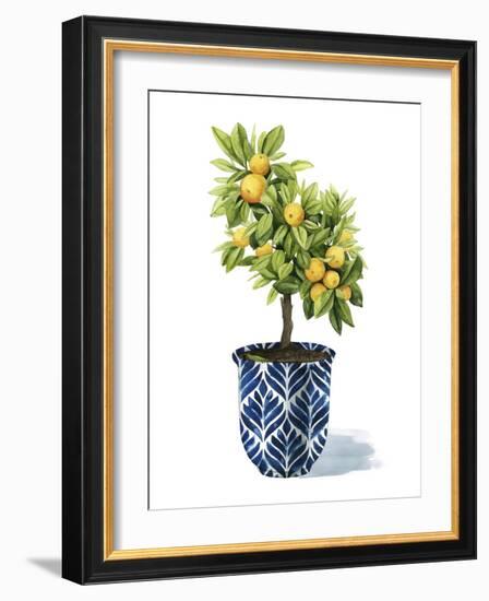 Fruit Tree I-Grace Popp-Framed Art Print