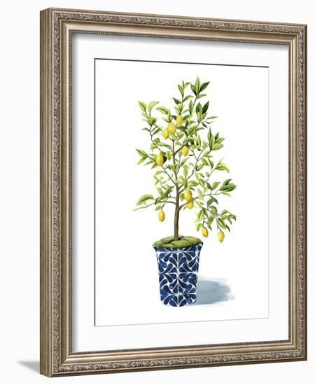 Fruit Tree II-Grace Popp-Framed Art Print