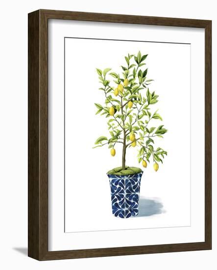 Fruit Tree II-Grace Popp-Framed Art Print