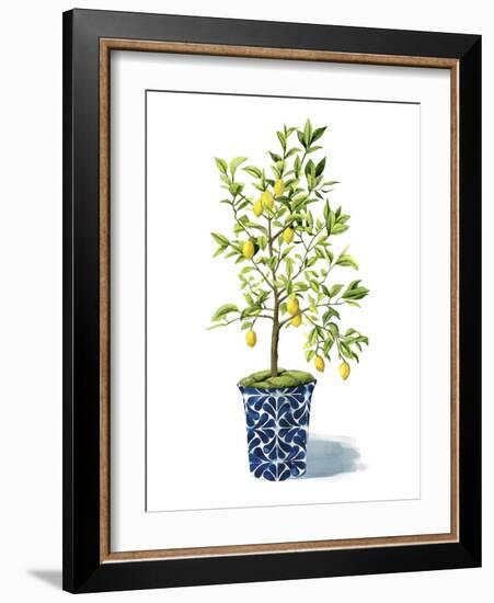 Fruit Tree II-Grace Popp-Framed Art Print