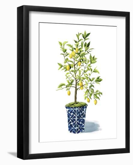 Fruit Tree II-Grace Popp-Framed Art Print