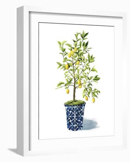 Fruit Tree II-Grace Popp-Framed Art Print